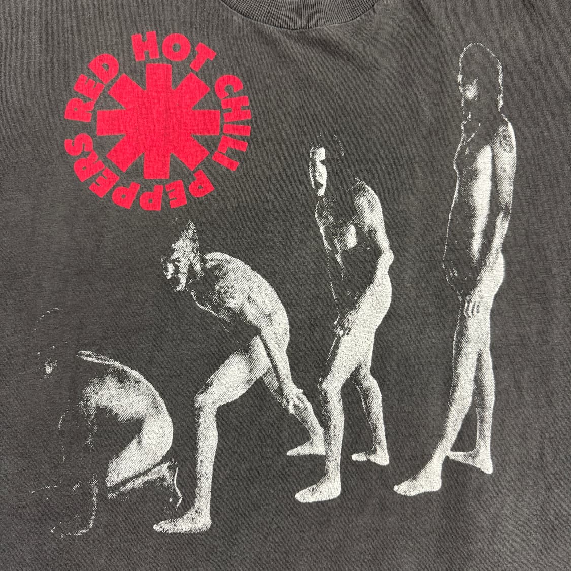 빈티지 90s 레드핫칠리페퍼스 티셔츠 RHCP Evolution Tee 상품이미지3
