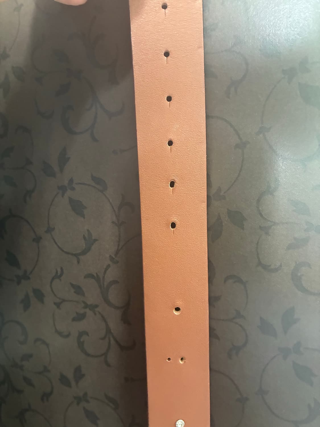 벌스 오브 로열 차일드 메달 벨트 상품이미지3