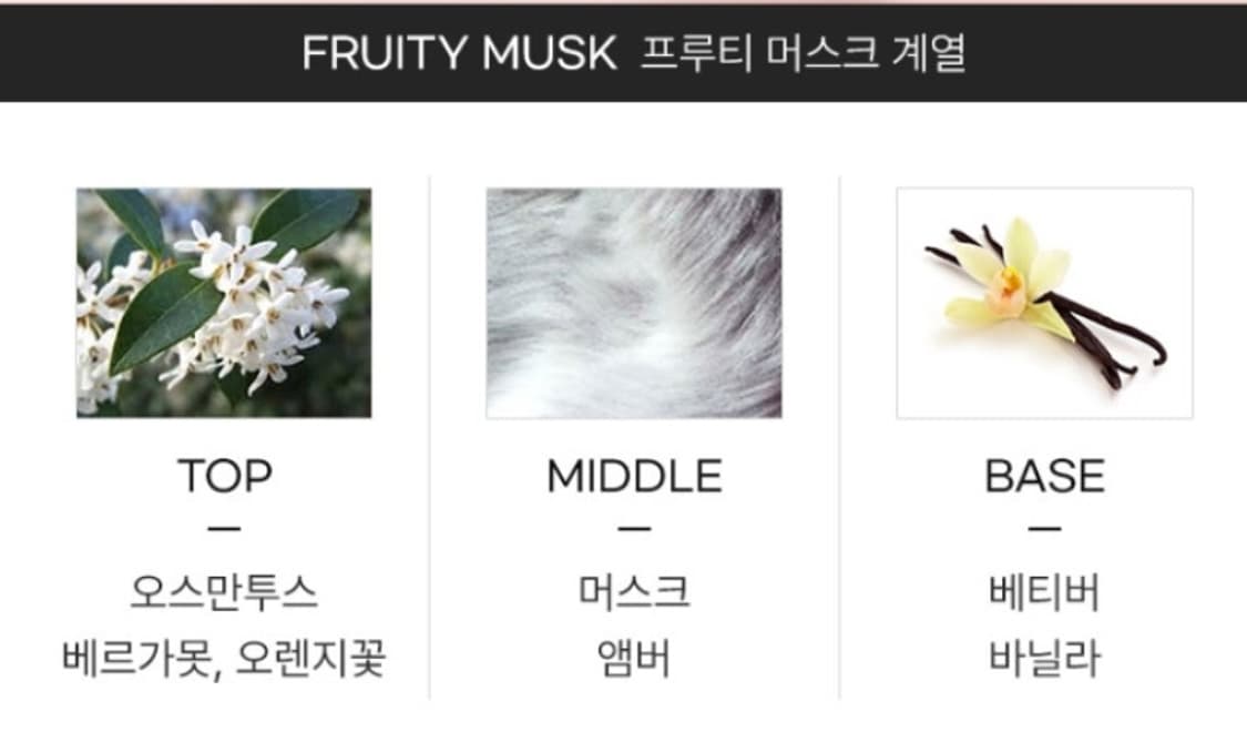 나르시소 로드리게즈 포허 오드뚜왈렛 100ml 상품이미지4