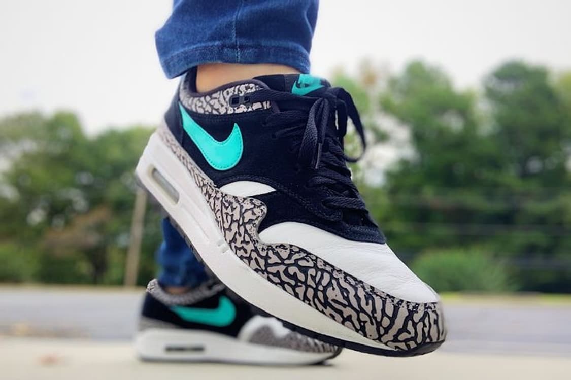 에어 맥스 1 아트모스 코끼리 상품이미지5