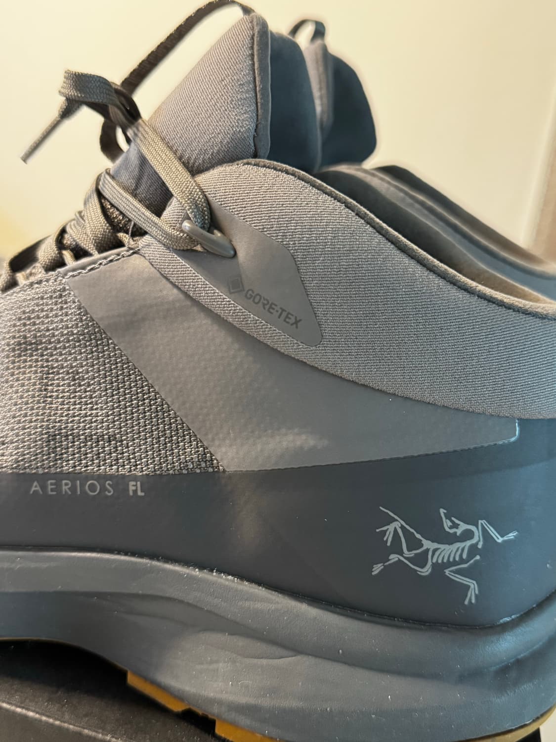 아크테릭스 에어리어스 미드 gtx FL2 size 270 상품이미지4