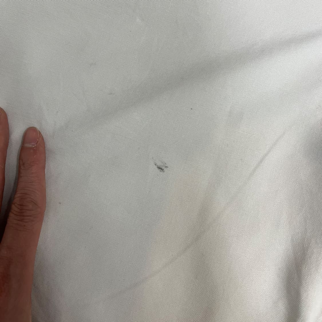 칼하트 B144 카펜터 유틸리티 워크 쇼츠 팬츠 반바지 36 상품이미지8
