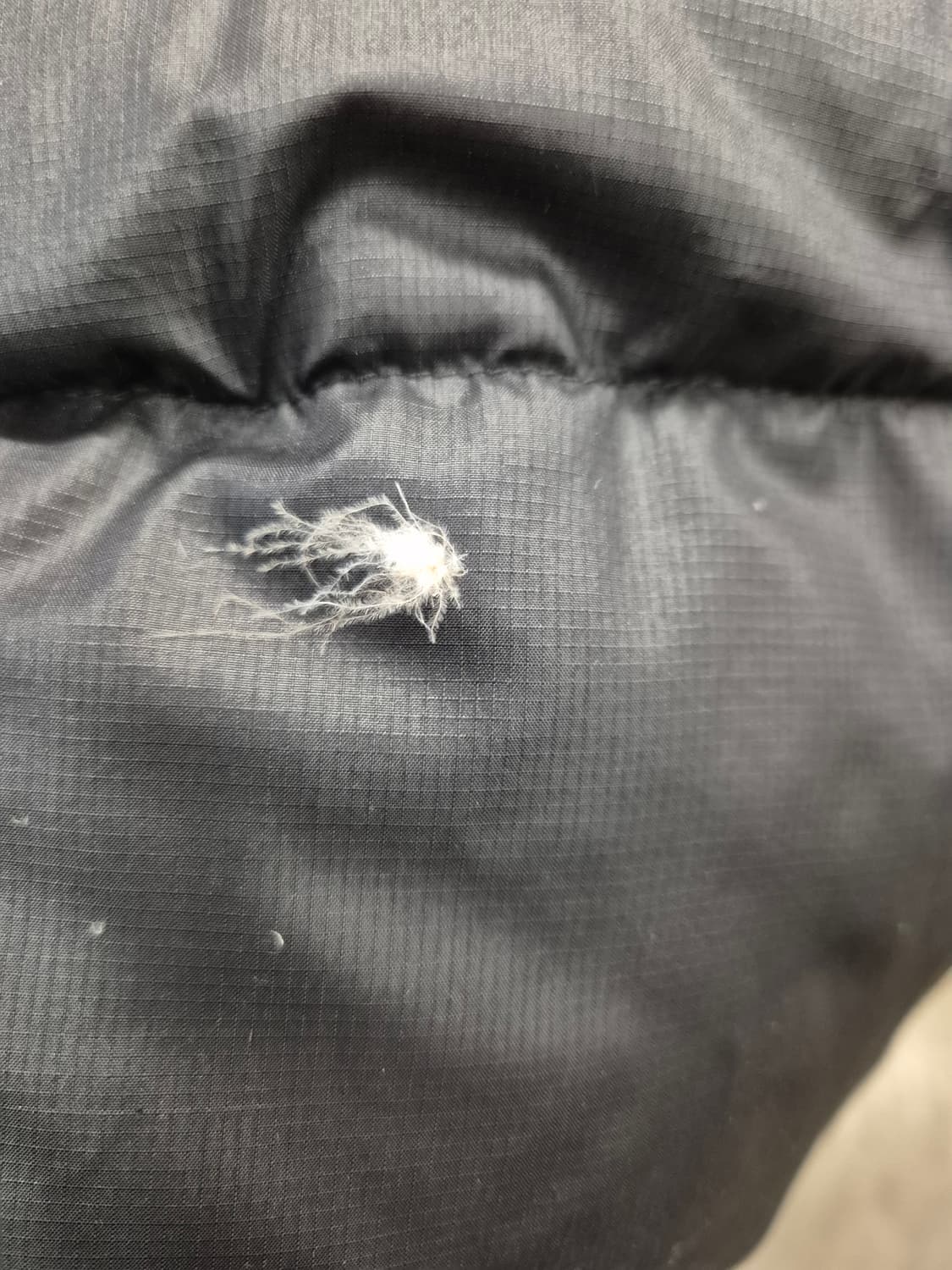 노스페이스 패딩 블랙 105 상품이미지9