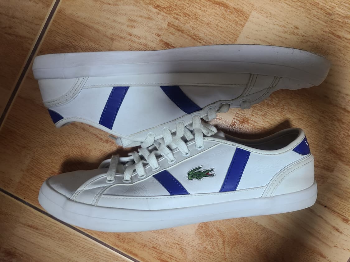 라코스테 사이드라인 270(265추천) 상품이미지4