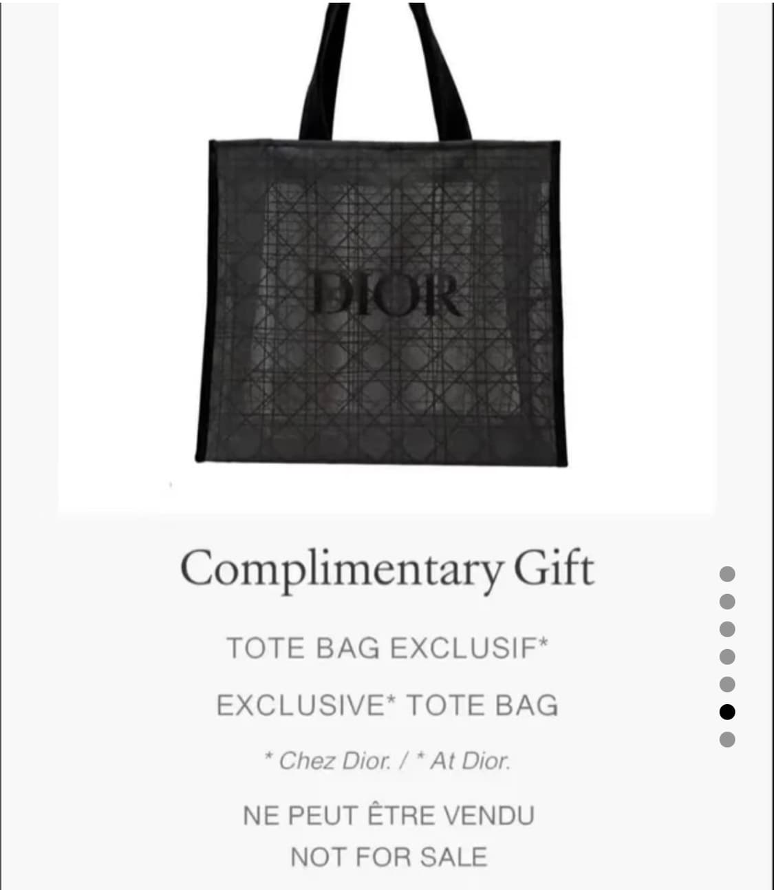 디올 뷰티 까나쥬 매쉬 에코백 상품이미지2