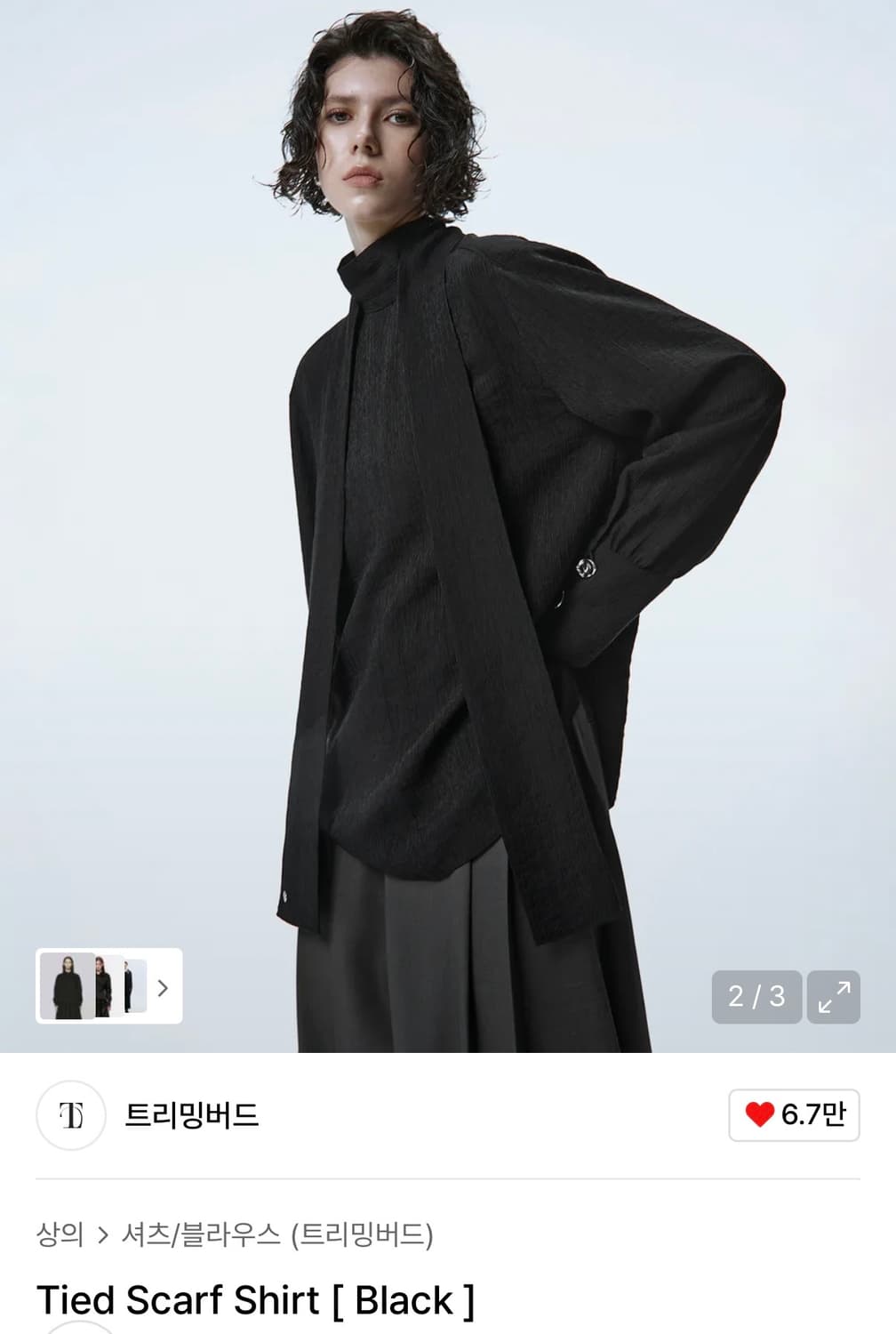 트리밍버드 타이 타이드 스카프 셔츠 블라우스 블랙 1사이즈 상품이미지2