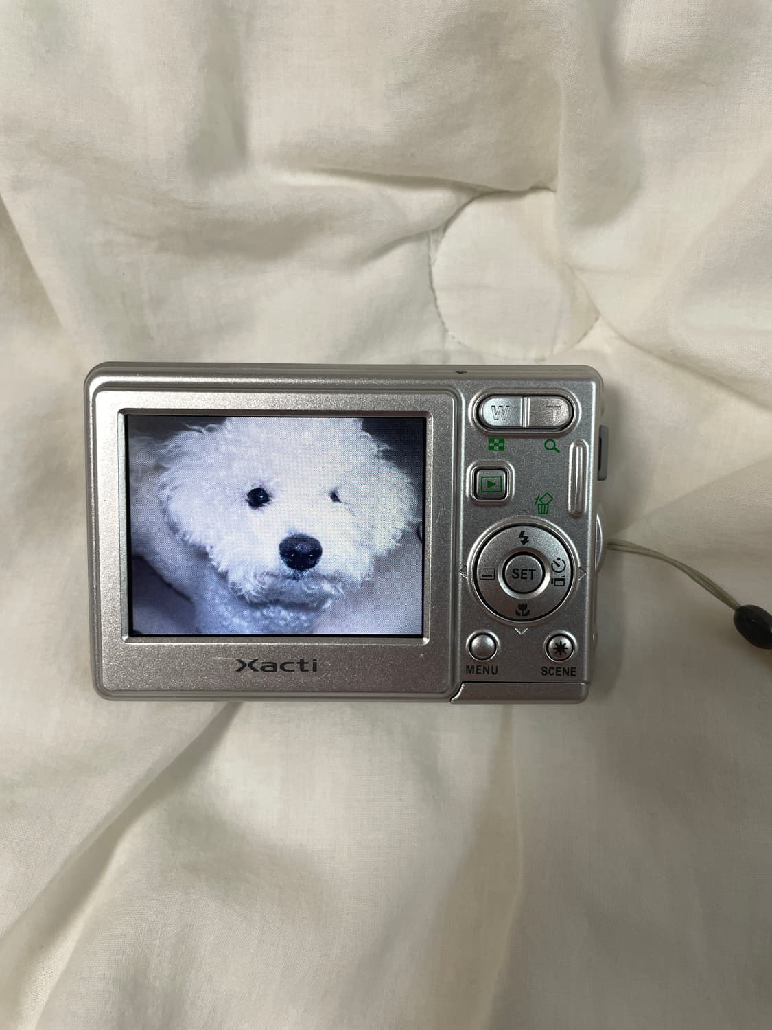 산요 작티 XACTI DSC-S7 디카 (작례O) 상품이미지7