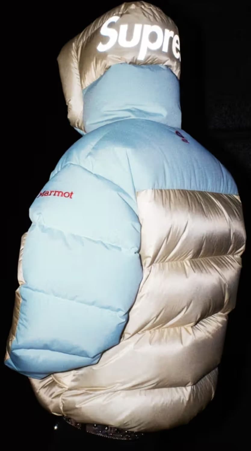 슈프림 X 마모트 콜라보 800필다운 새상품 상품이미지3