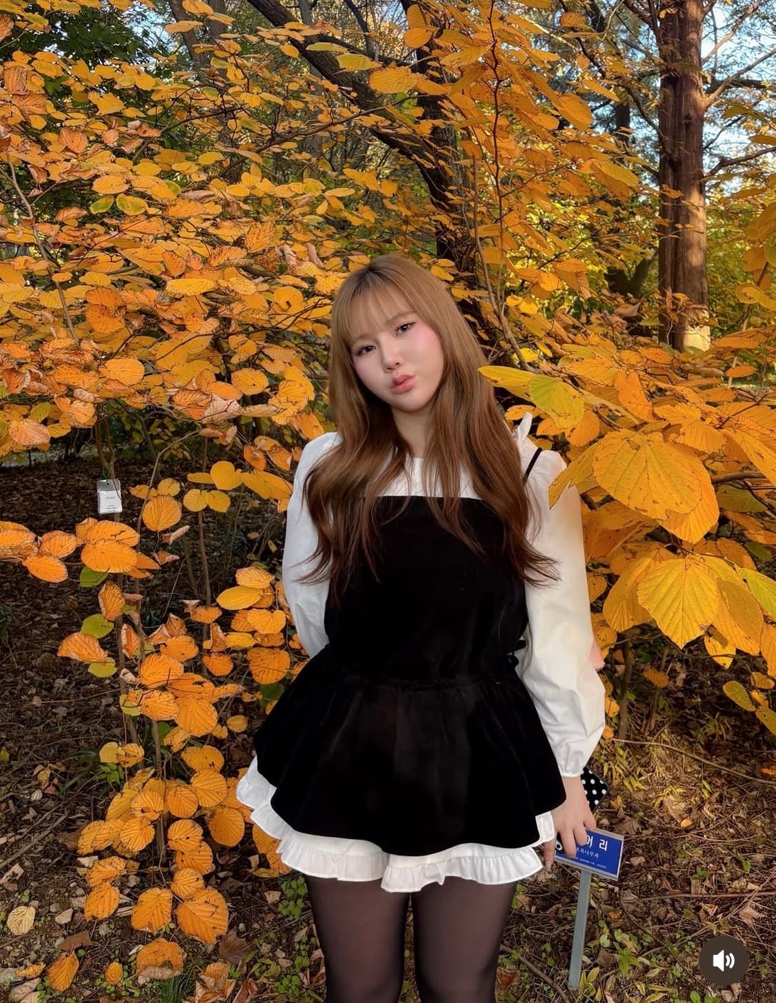 스프링콤마 레이어드 원피스 세트 상품이미지3