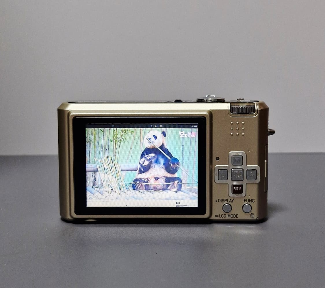 파나소닉 루믹스 DMC-FX100 디지털카메라 상품이미지7