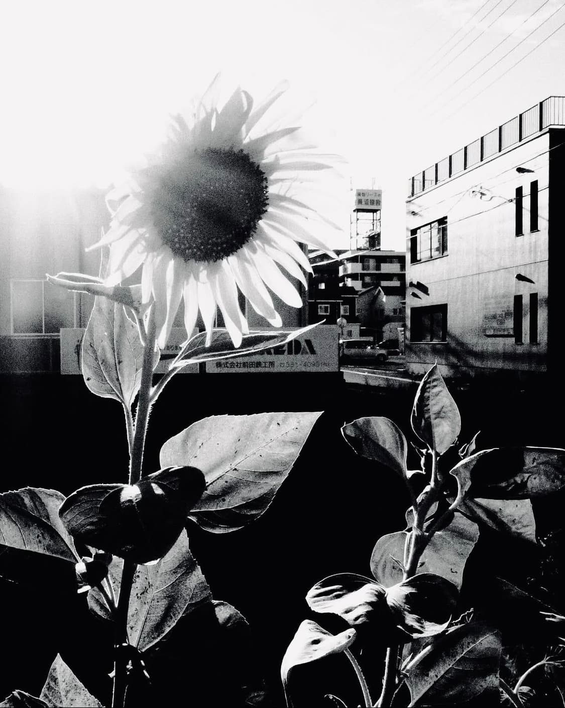 ✨미품 ✨ Ricoh 리코 CX6 디지털카메라 상품이미지10