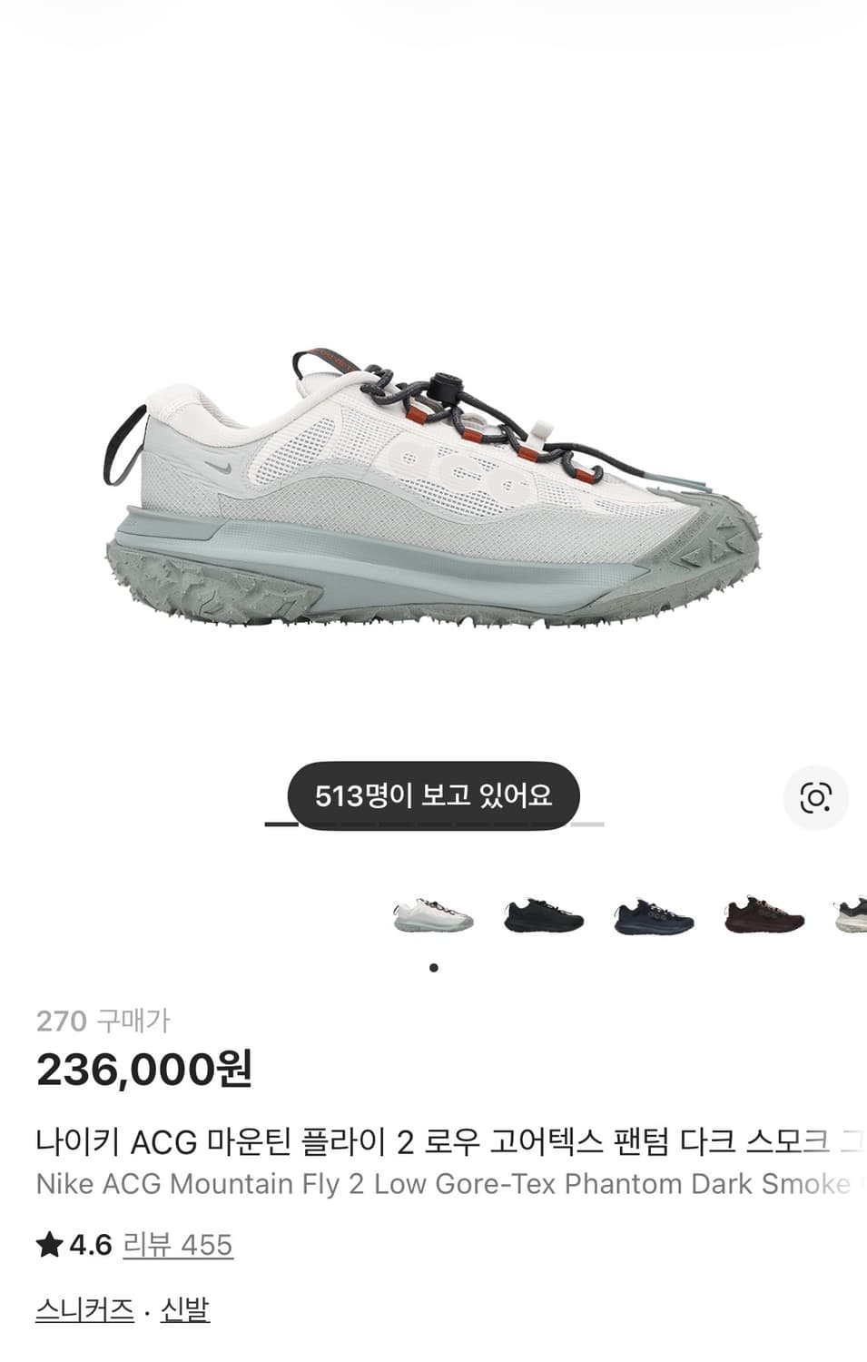 나이키 acg 마운틴 플라이 2 로우 고어텍스 상품이미지4