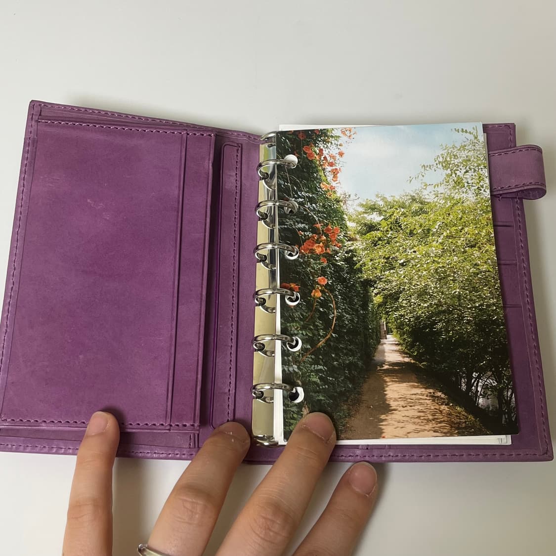 애쉬포드 비타리타 퍼플 A7(박스포함) 상품이미지4