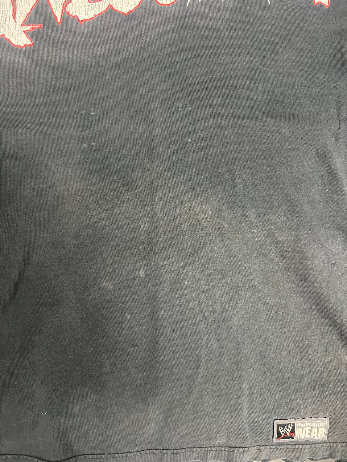 Usa WWE 어썸 티셔츠 블랙 데미지 L 상품이미지7