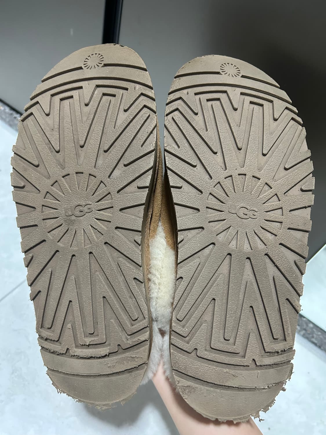 Ugg disquette 250mm 상품이미지5