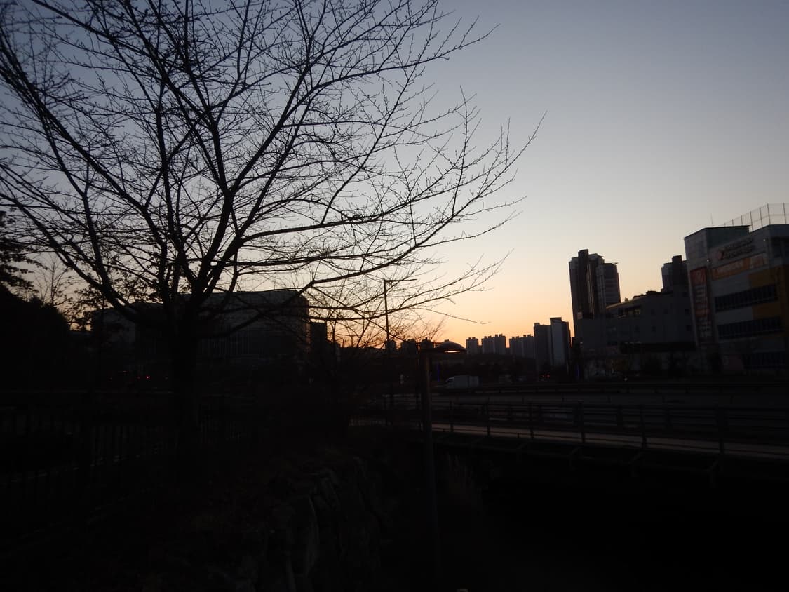 니콘 쿨픽스 Nikon Coolpix aw130 카모 상품이미지9