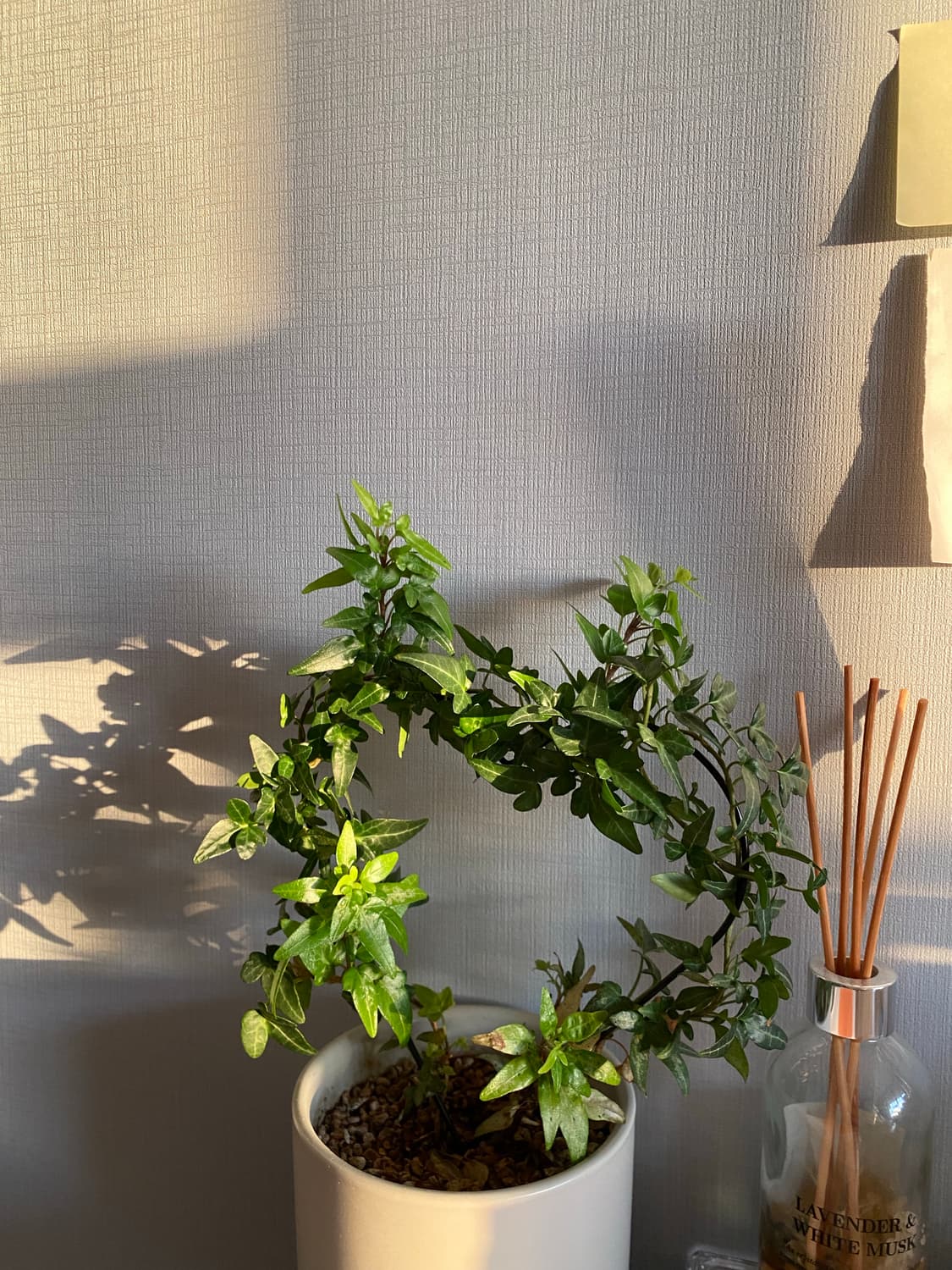 아이폰 11 옐로우 128기가 상품이미지10