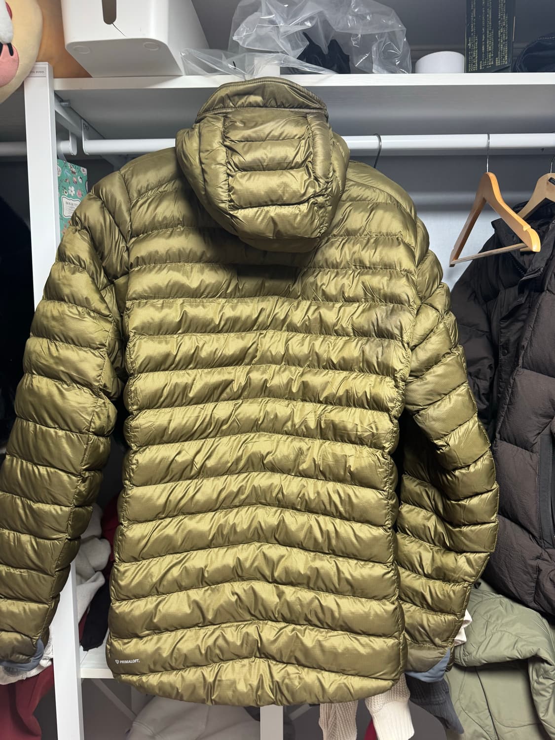 랩 씨러스 알파인 L 몽벨 아크테릭스 파타고니아 노스페이스  상품이미지2