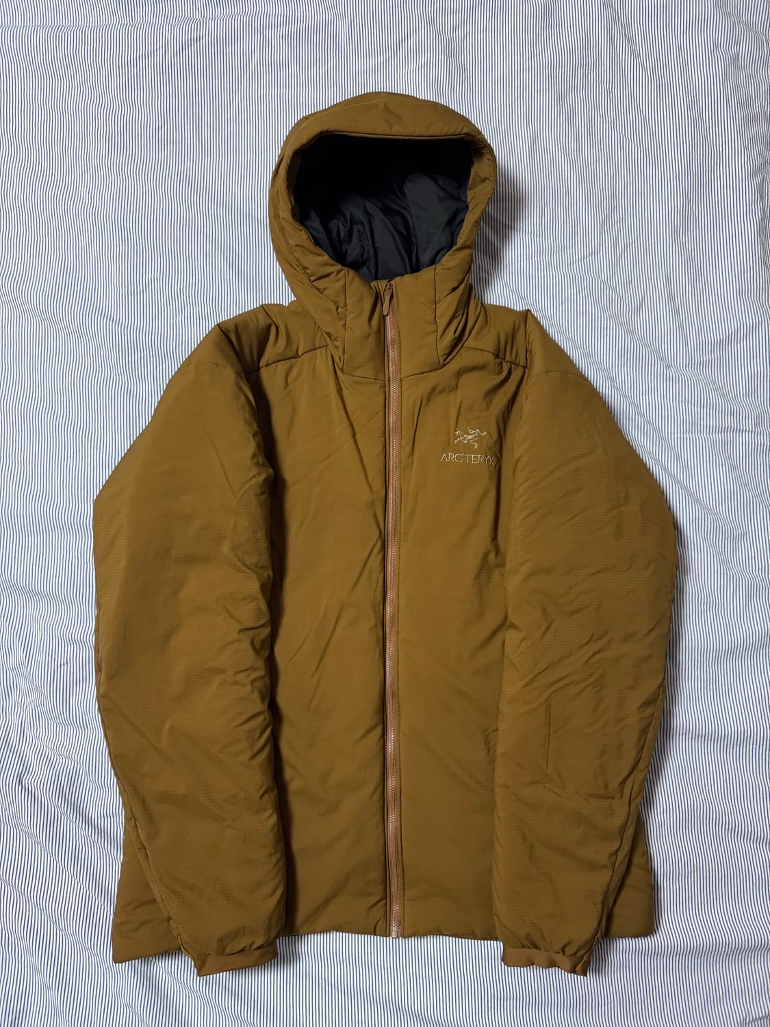 (SS급) 아크테릭스 아톰 AR 후디 렐릭 상품이미지2