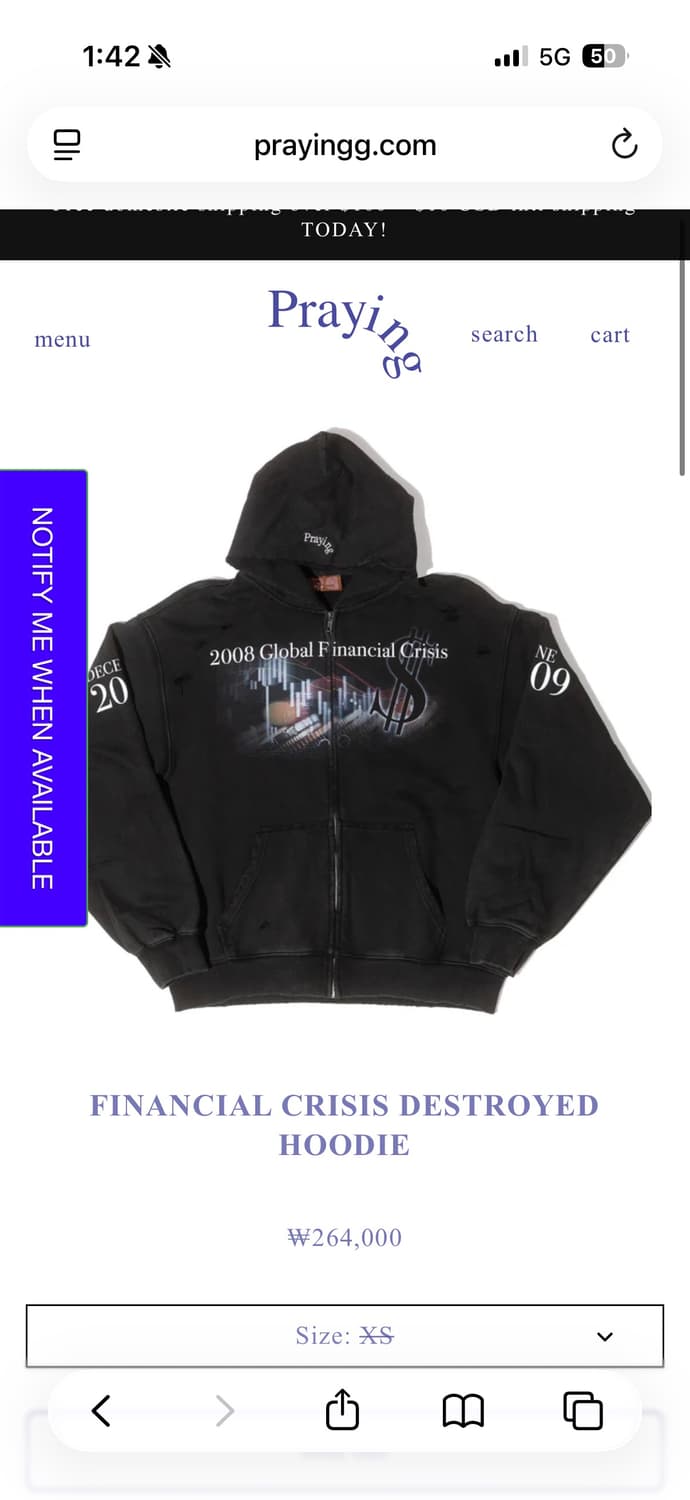 FINANCIAL CRISIS DESTROYED HOODI 상품이미지2