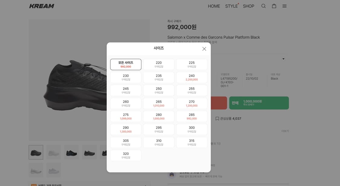 꼼데가르송 살로몬 펄사 250 상품이미지10