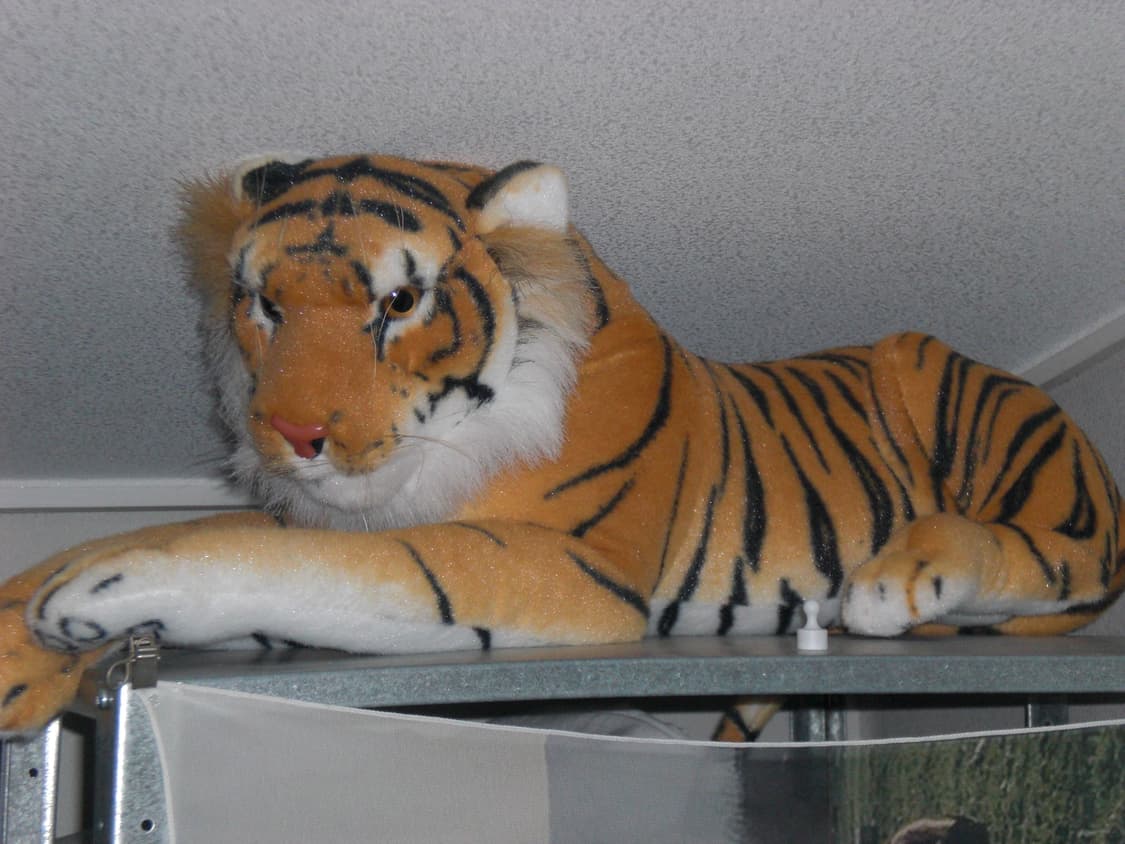 카시오 엑슬림 exilim ex-z80 디지털카메라 빈티지디카 상품이미지8