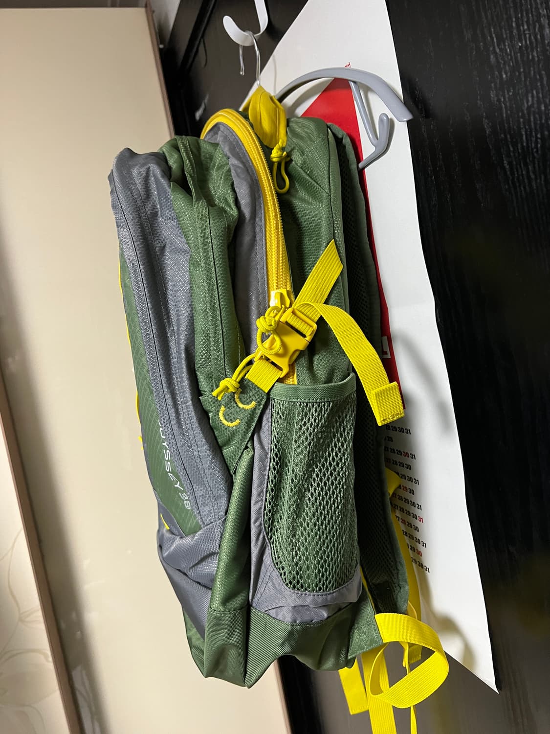 잔스포츠 오딧세이 카고그린 컬러 39L 대용량 상품이미지6