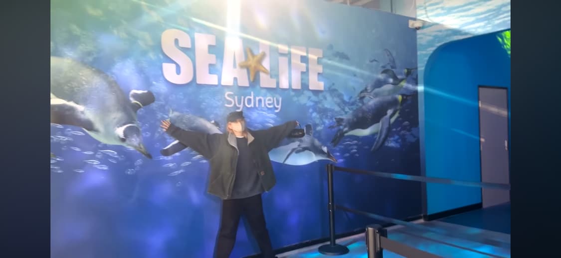 생로랑 베니티백 상품이미지6