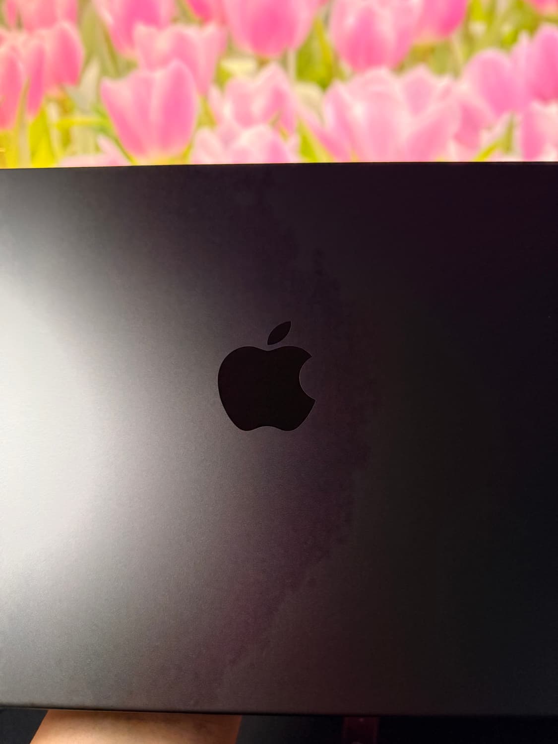 맥북 프로 m5 24 / 1tb 스페이스블랙 영문자판 상품이미지2