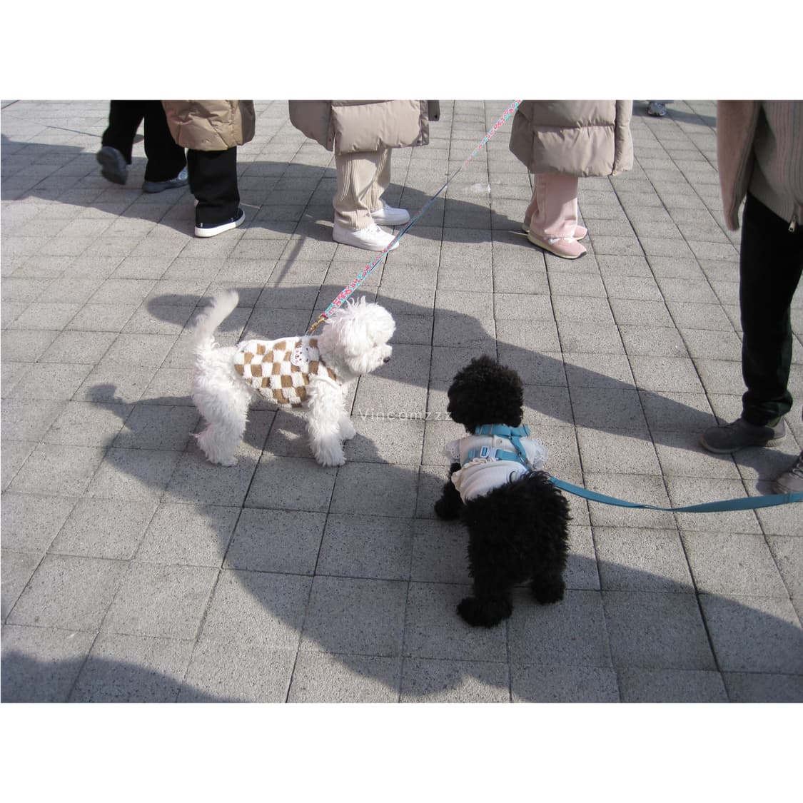 Canon 캐논 IXUS 익서스 95is (파워샷 SD1200is) 상품이미지7