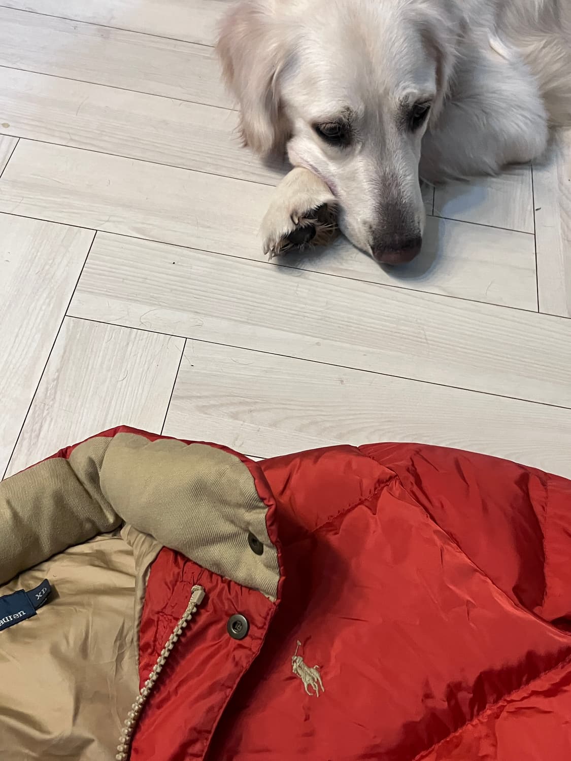 폴로랄프로렌 적다운 100~105 상품이미지4