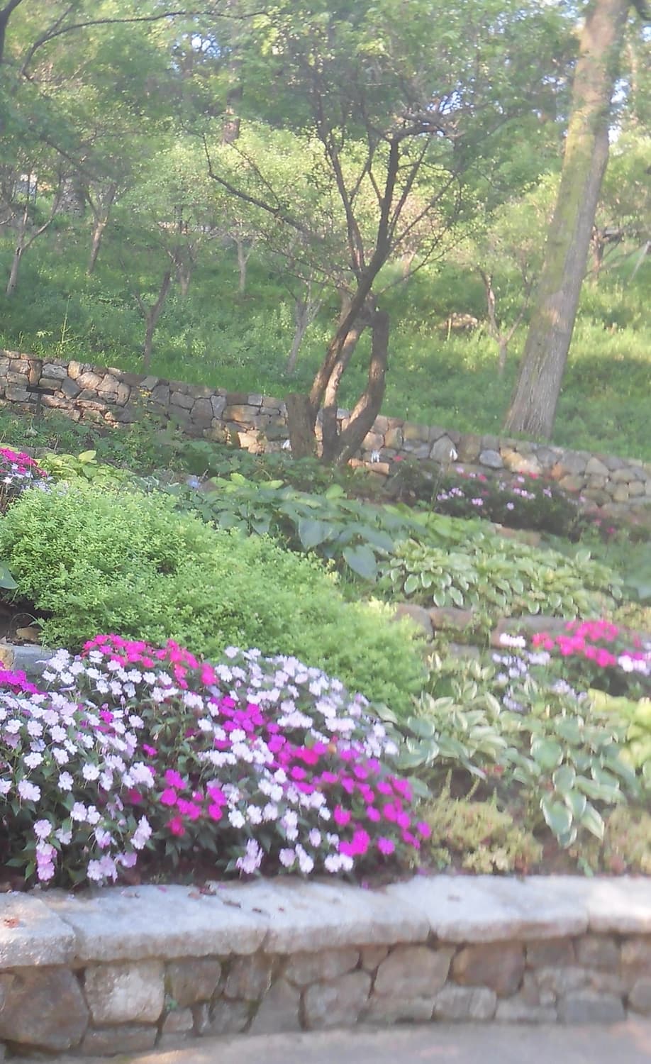 빈티지 디카 카시오 EX-FR10 액션캠 상품이미지7