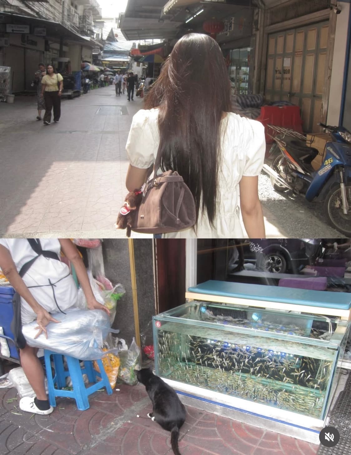 캐논 Ixus 190(Ixy 210) 작례 ⭕️ | 레트로 빈티지 디카  상품이미지10