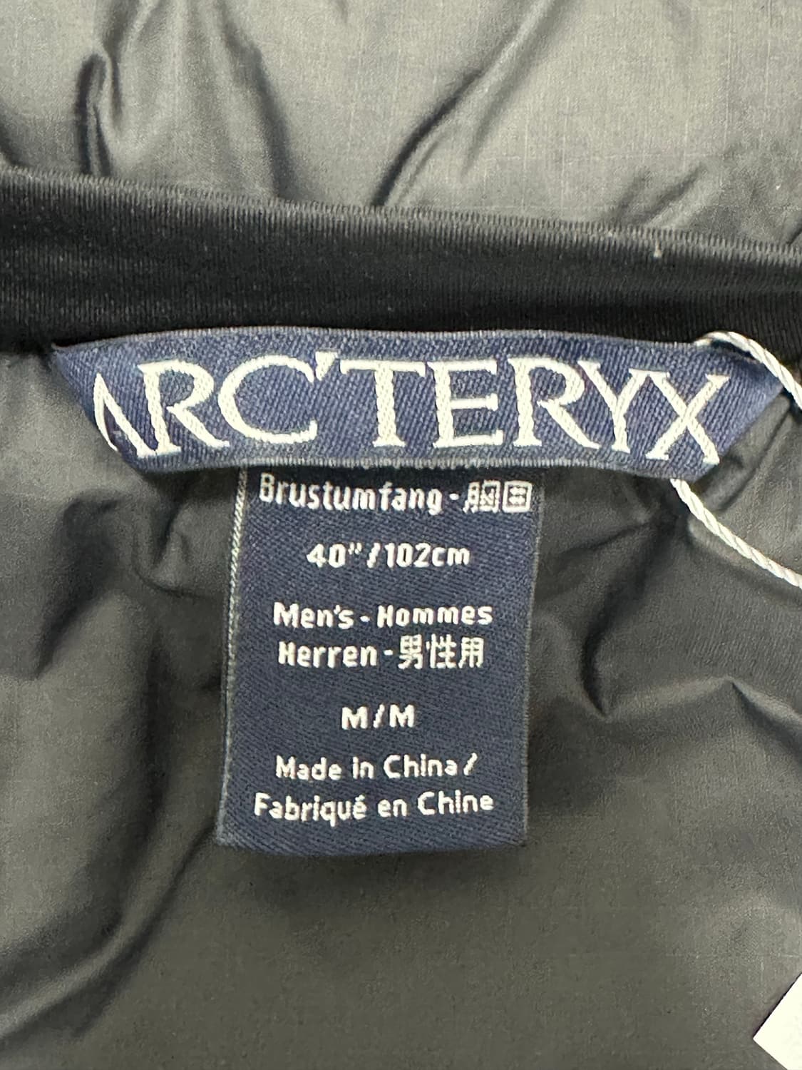 ARC'TERYX 피션 AR 자켓 상품이미지7