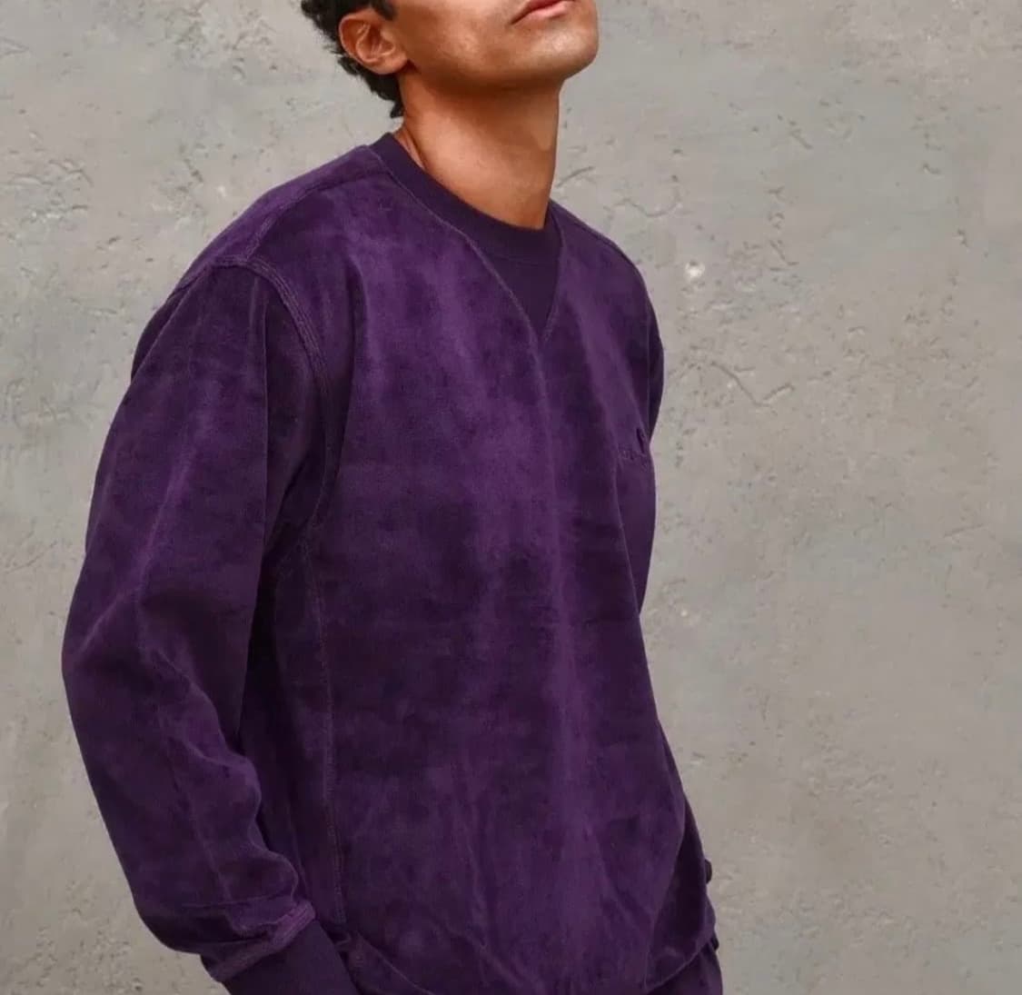 칼하트 WIP 벨루어 벨벳 맨투맨 상품이미지3