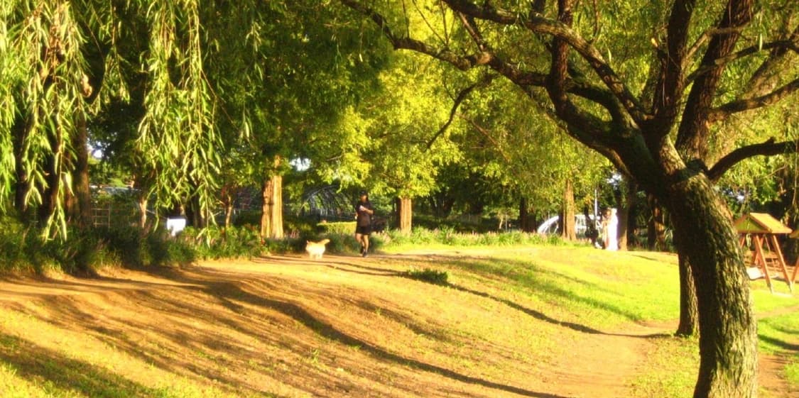 엔믹스 디카 작례O) 캐논 익서스 40 실버 상품이미지8