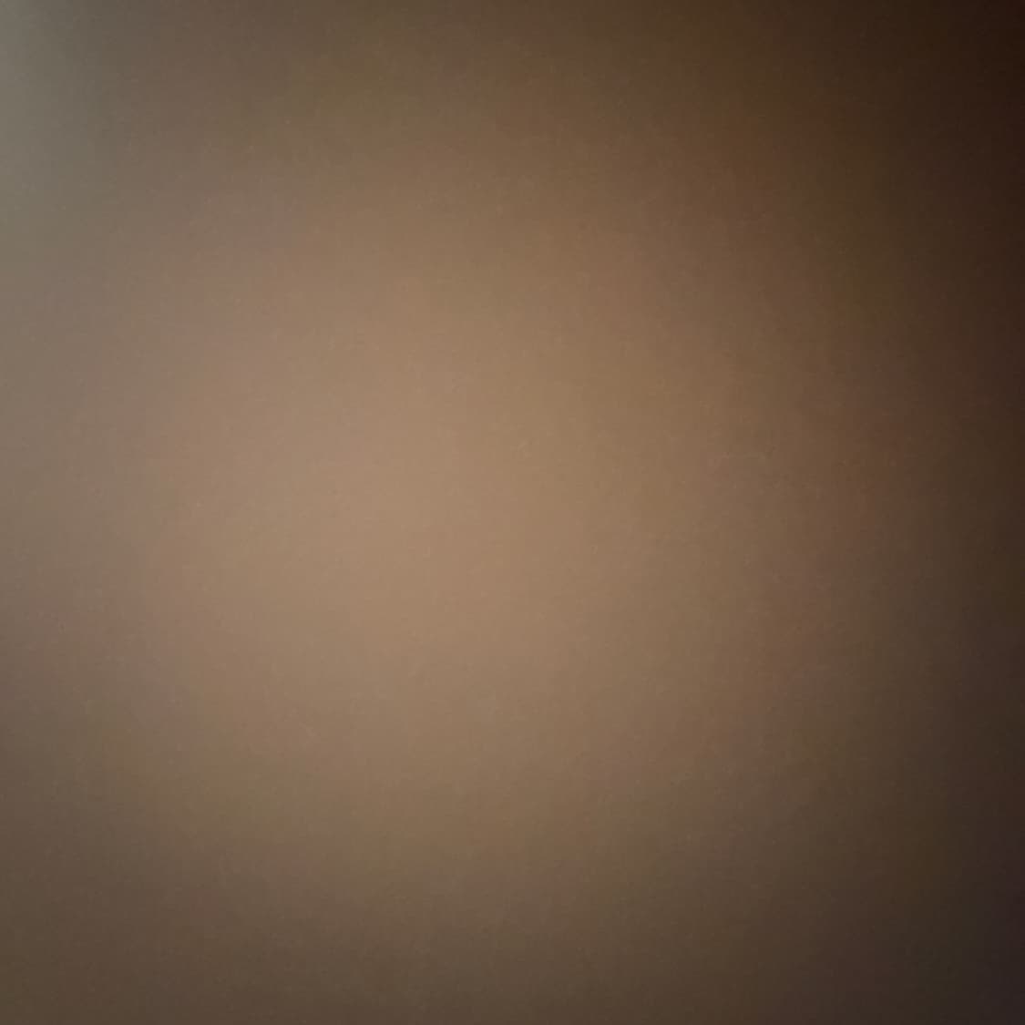 반스 갤러리디파트먼트 260 상품이미지4