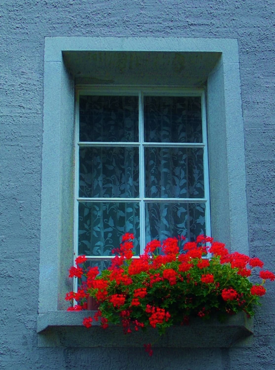 (색감/감성📷) 캐논 Canon IXY500 (IXUS500) 상품이미지9