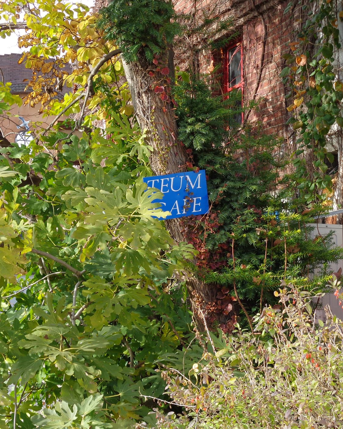 인물사진추천/뉴트럴톤작례✨SONY DSC-W730 소니 디카 카메라 상품이미지10