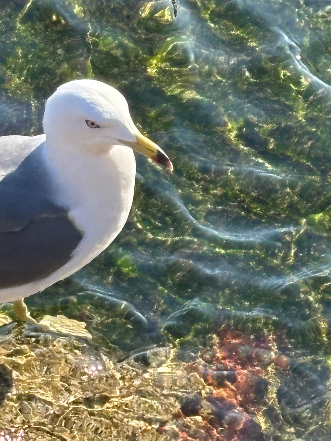 dddd*****님 개인결제창입니다. 상품이미지1