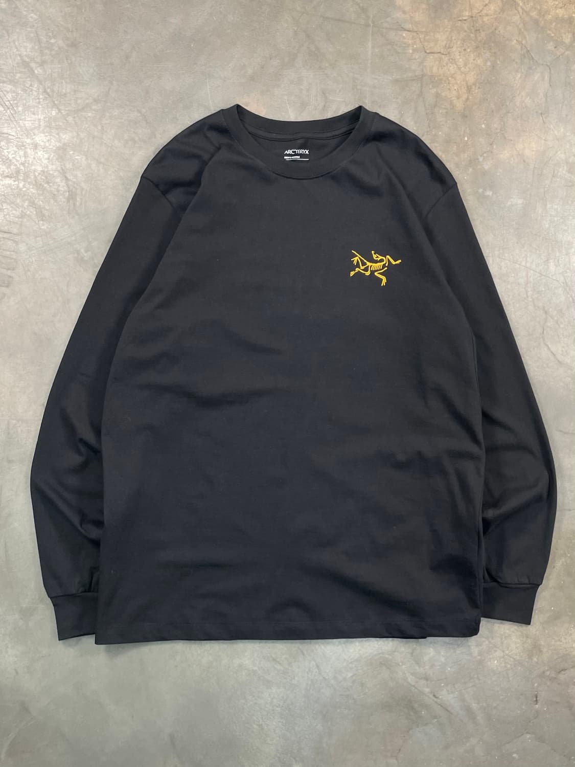 아크테릭스 데드스탁 롱 슬리브 티셔츠 상품이미지3