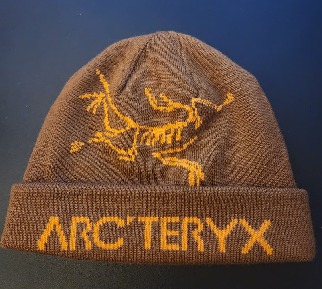 23FW 아크테릭스 울 버드 워드 토크 비니 상품이미지1