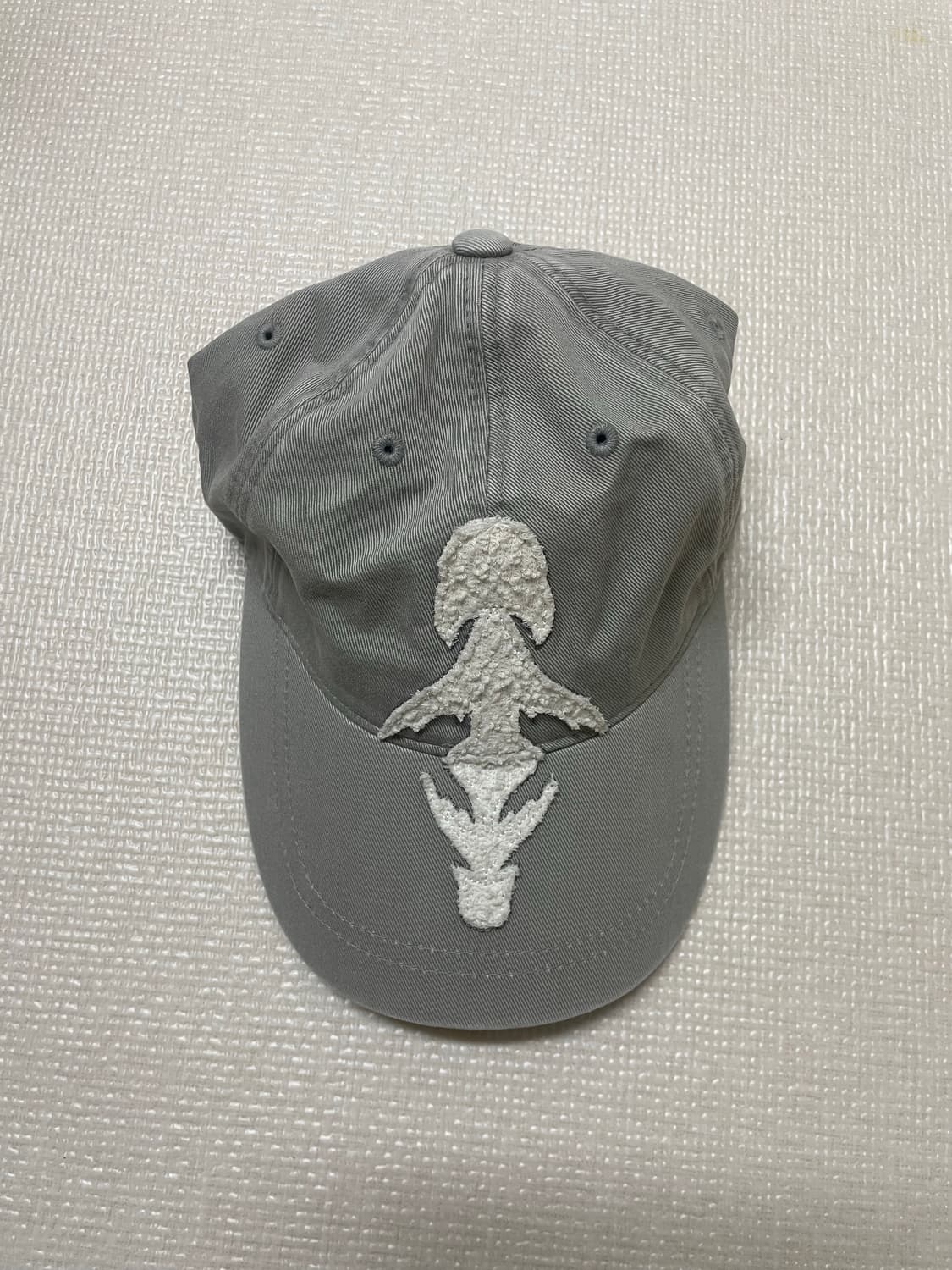 코이세이오 레그나 코지 캡 상품이미지2