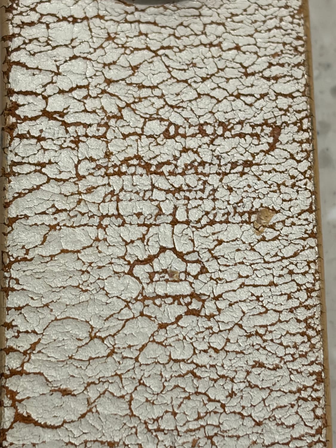 호크컴퍼니 제팬 웨스턴 피넛 스터드 벨트 상품이미지6