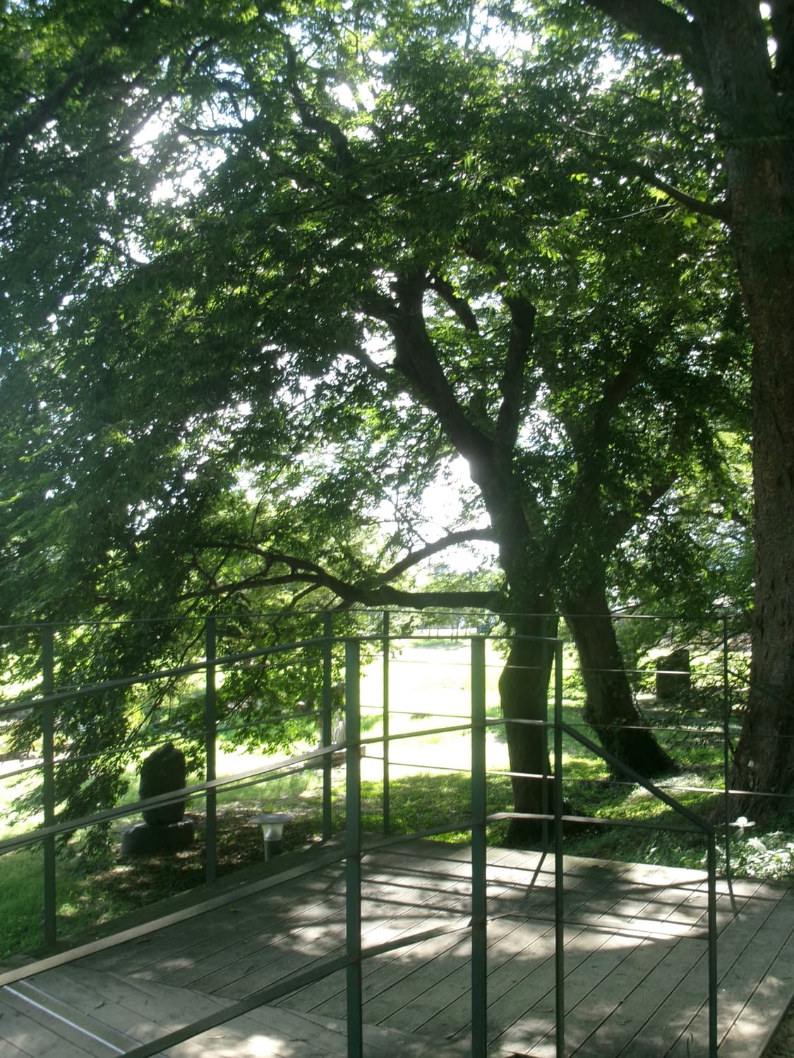 코닥 fz55 디카 블랙 상품이미지5