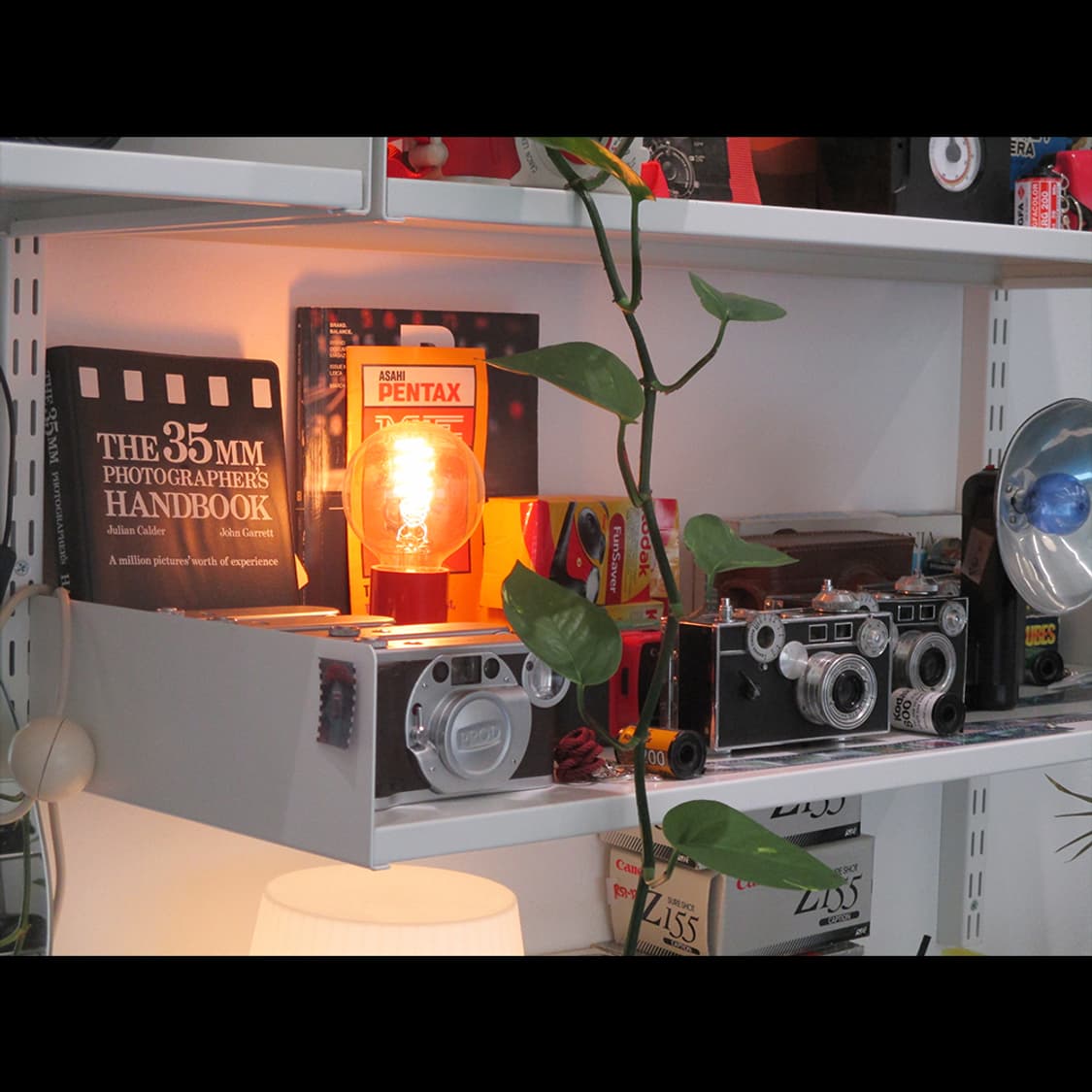 작례⭕️ 캐논 IXY 200 레드벨벳 조이 카메라 상품이미지3