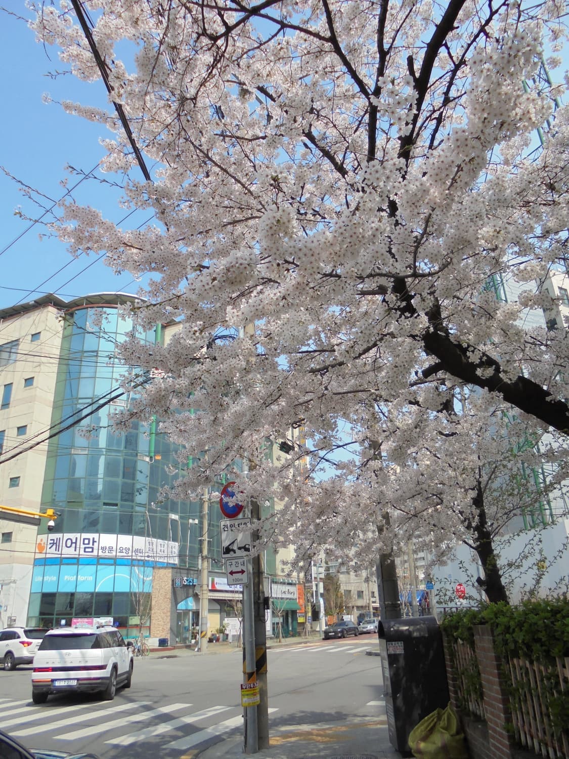 소니 사이버샷 dsc-w810 상품이미지8