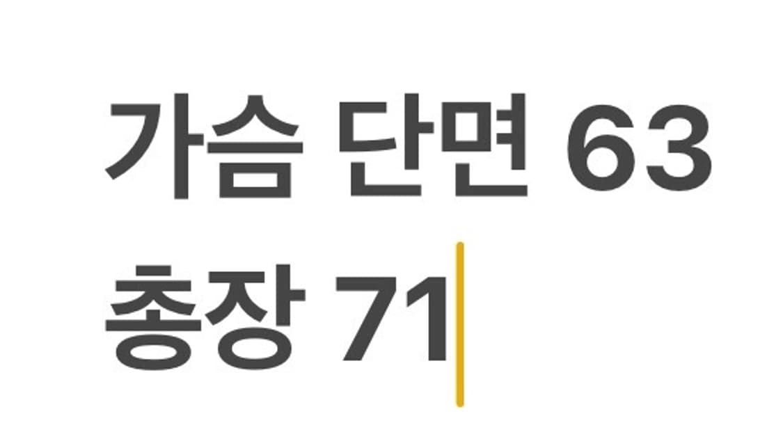 [ 정품/XL ] 코닥 아노락 바람막이 자켓 b15 상품이미지10