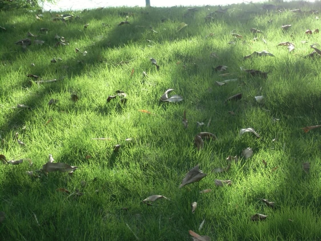 [*풀박!🩷/작례⭕️] 카시오 엑슬림 EX-ZS170 빈티지 디카 상품이미지8