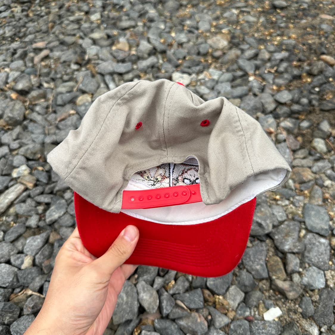 97 looney tunes taz&wile e coyote cap 상품이미지3